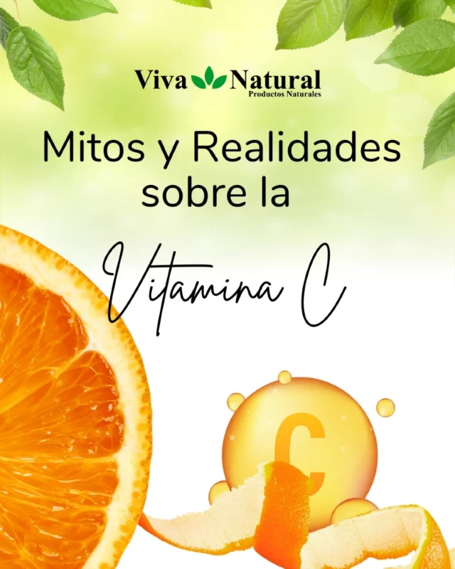 🟠 Mitos y Realidades sobre la Vitamina C 🍊

🧡 Mito: Solo necesitas Vitamina C cuando estás resfriado.
✅ Realidad: La Vitamina C es mucho más que un remedio temporal. Es un antioxidante esencial que fortalece tu sistema inmune, protege tu piel de los radicales libres y mejora la absorción de otros nutrientes. 🌿💪

Incorpora nuestra Vitamina C de alta calidad en tu rutina diaria y disfruta de sus beneficios durante todo el año. ¡No esperes a estar enfermo para cuidar tu salud! 💊✨

📲Pedí el tuyo: (0983) 615 514
✅ Venta Mayorista y Minorista
🇵🇾🚚 Envíos a todo País

#SaludNatural #Bienestar #VitaminaC #Antioxidantes #VidaSaludable #CuidadoPersonal #VivaNatural